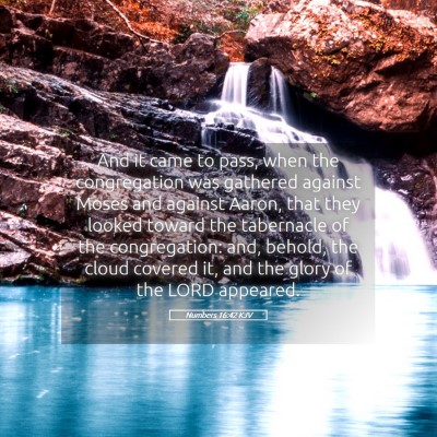 Picture 05 - Numbers 16:42 KJV - And it came to pass, when the congregation was - Bible Verse Picture