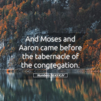 Picture 05 - Numbers 16:43 KJV - And Moses and Aaron came before the tabernacle of - Bible Verse Picture