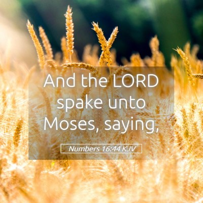 Picture 05 - Numbers 16:44 KJV - And the LORD spake unto Moses, - Bible Verse Picture