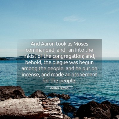 Picture 05 - Numbers 16:47 KJV - And Aaron took as Moses commanded, and ran into - Bible Verse Picture