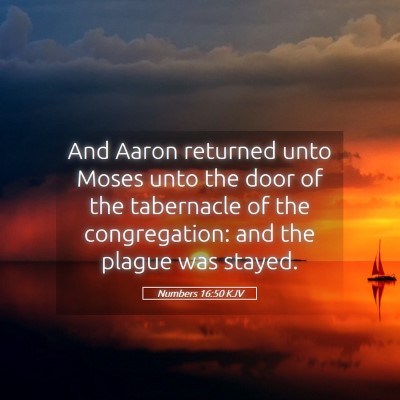 Picture 05 - Numbers 16:50 KJV - And Aaron returned unto Moses unto the door of - Bible Verse Picture