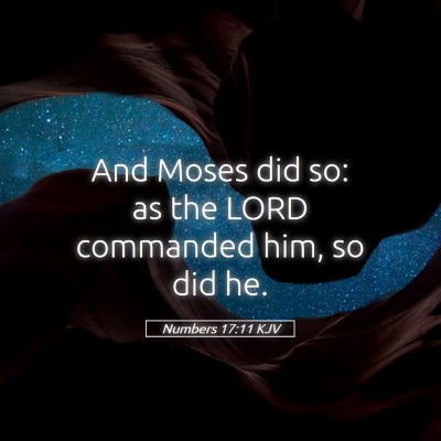 Picture 05 - Numbers 17:11 KJV - And Moses did so: as the LORD commanded him, so - Bible Verse Picture