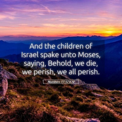 Picture 05 - Numbers 17:12 KJV - And the children of Israel spake unto Moses, - Bible Verse Picture