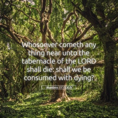 Picture 05 - Numbers 17:13 KJV - Whosoever cometh any thing near unto the - Bible Verse Picture