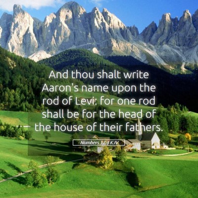 Picture 05 - Numbers 17:3 KJV - And thou shalt write Aaron's name upon the rod of - Bible Verse Picture