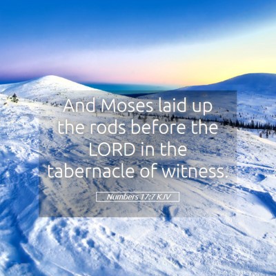Picture 05 - Numbers 17:7 KJV - And Moses laid up the rods before the LORD in the - Bible Verse Picture
