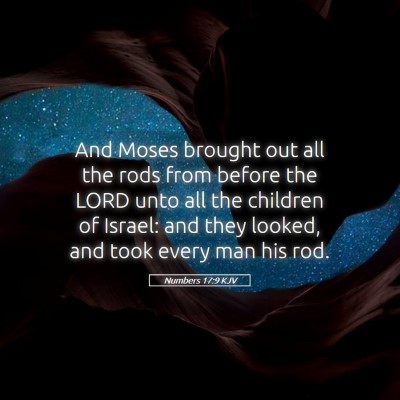 Picture 05 - Numbers 17:9 KJV - And Moses brought out all the rods from before - Bible Verse Picture