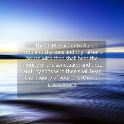 Picture 05 - Numbers 18:1 KJV - And the LORD said unto Aaron, Thou and thy sons - Bible Verse Picture