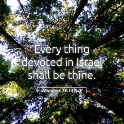 Picture 05 - Numbers 18:14 KJV - Every thing devoted in Israel shall be - Bible Verse Picture