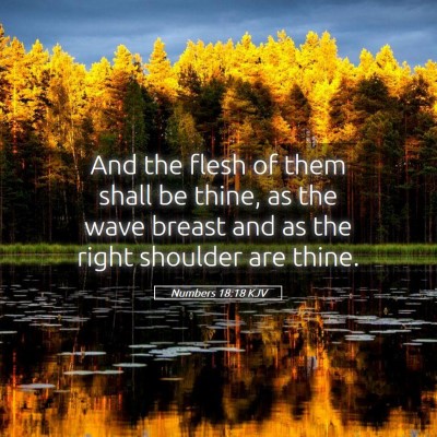 Picture 05 - Numbers 18:18 KJV - And the flesh of them shall be thine, as the wave - Bible Verse Picture