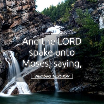 Picture 05 - Numbers 18:25 KJV - And the LORD spake unto Moses, - Bible Verse Picture