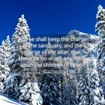 Picture 05 - Numbers 18:5 KJV - And ye shall keep the charge of the sanctuary, - Bible Verse Picture