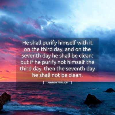 Picture 05 - Numbers 19:12 KJV - He shall purify himself with it on the third day, - Bible Verse Picture