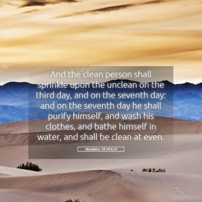 Picture 05 - Numbers 19:19 KJV - And the clean person shall sprinkle upon the - Bible Verse Picture