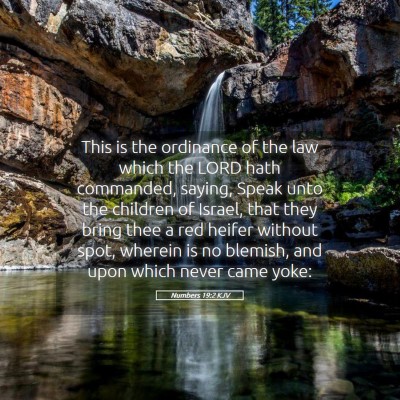 Picture 05 - Numbers 19:2 KJV - This is the ordinance of the law which the LORD - Bible Verse Picture