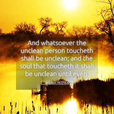 Picture 05 - Numbers 19:22 KJV - And whatsoever the unclean person toucheth shall - Bible Verse Picture