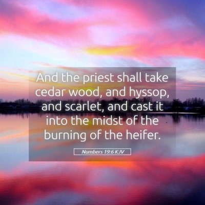 Picture 05 - Numbers 19:6 KJV - And the priest shall take cedar wood, and hyssop, - Bible Verse Picture