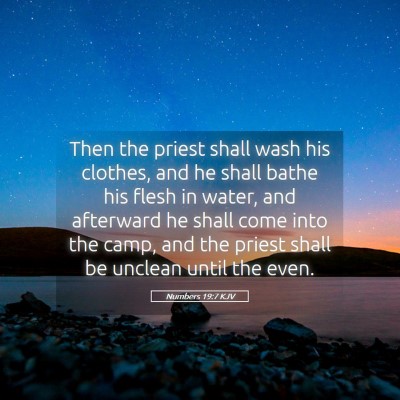 Picture 05 - Numbers 19:7 KJV - Then the priest shall wash his clothes, and he - Bible Verse Picture