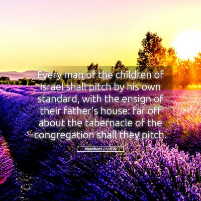 Picture 05 - Numbers 2:2 KJV - Every man of the children of Israel shall pitch - Bible Verse Picture