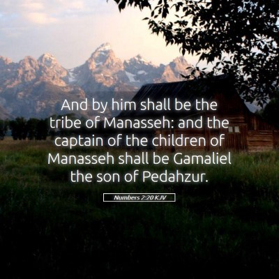 Picture 05 - Numbers 2:20 KJV - And by him shall be the tribe of Manasseh: and - Bible Verse Picture