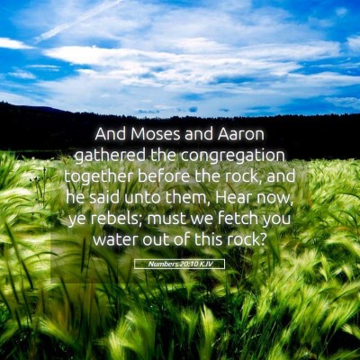 Picture 05 - Numbers 20:10 KJV - And Moses and Aaron gathered the congregation - Bible Verse Picture