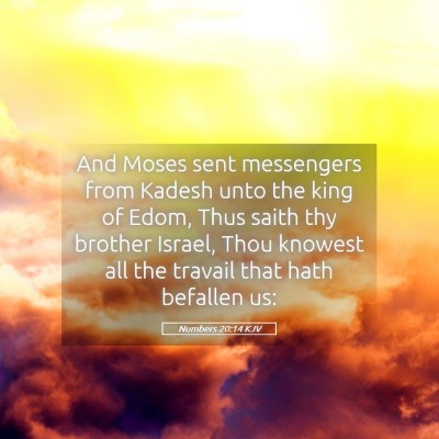 Picture 05 - Numbers 20:14 KJV - And Moses sent messengers from Kadesh unto the - Bible Verse Picture