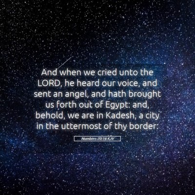 Picture 05 - Numbers 20:16 KJV - And when we cried unto the LORD, he heard our - Bible Verse Picture
