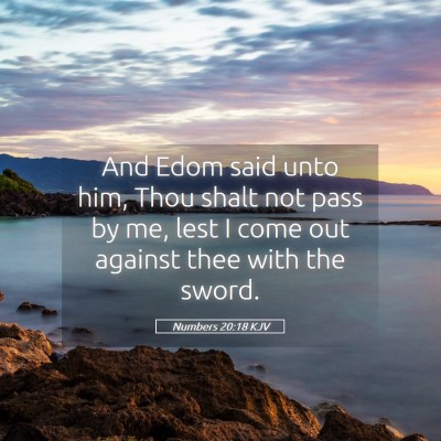 Picture 05 - Numbers 20:18 KJV - And Edom said unto him, Thou shalt not pass by - Bible Verse Picture