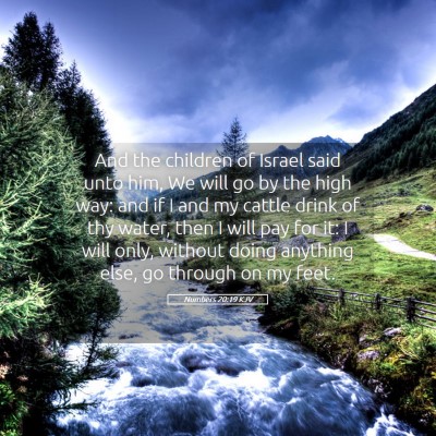 Picture 05 - Numbers 20:19 KJV - And the children of Israel said unto him, We will - Bible Verse Picture