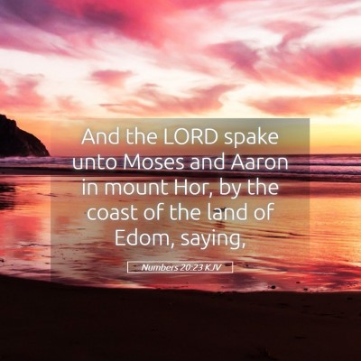 Picture 05 - Numbers 20:23 KJV - And the LORD spake unto Moses and Aaron in mount - Bible Verse Picture