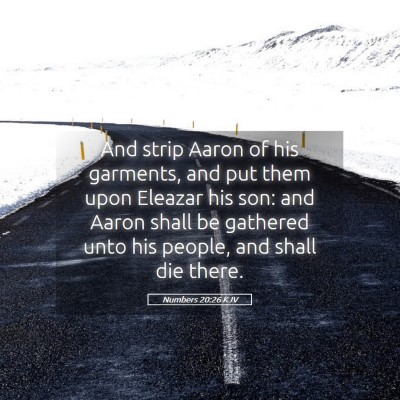 Picture 05 - Numbers 20:26 KJV - And strip Aaron of his garments, and put them - Bible Verse Picture