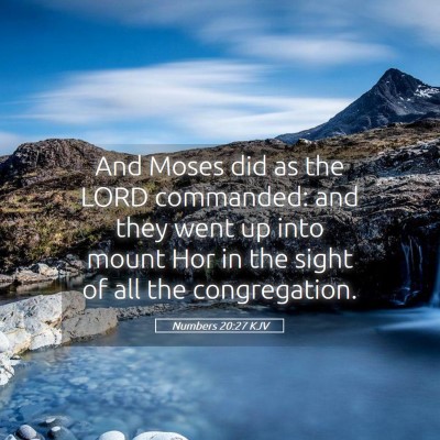 Picture 05 - Numbers 20:27 KJV - And Moses did as the LORD commanded: and they - Bible Verse Picture