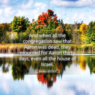 Picture 05 - Numbers 20:29 KJV - And when all the congregation saw that Aaron was - Bible Verse Picture