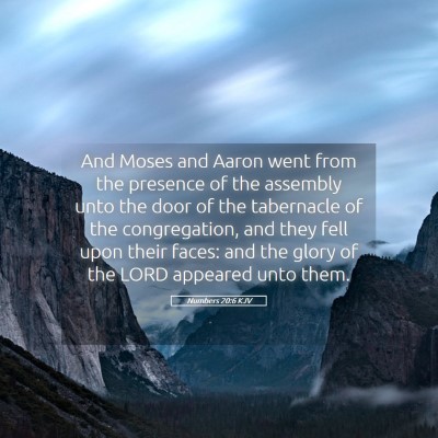 Picture 05 - Numbers 20:6 KJV - And Moses and Aaron went from the presence of the - Bible Verse Picture