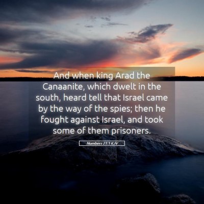 Picture 05 - Numbers 21:1 KJV - And when king Arad the Canaanite, which dwelt in - Bible Verse Picture