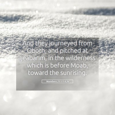Picture 05 - Numbers 21:11 KJV - And they journeyed from Oboth, and pitched at - Bible Verse Picture