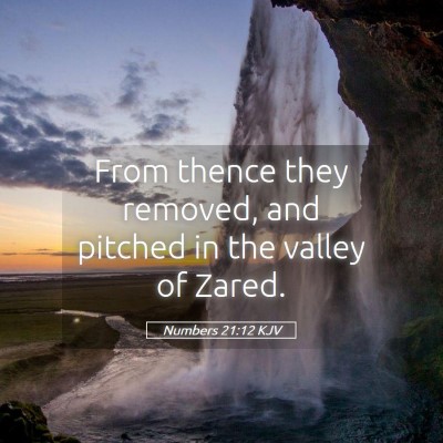 Picture 05 - Numbers 21:12 KJV - From thence they removed, and pitched in the - Bible Verse Picture