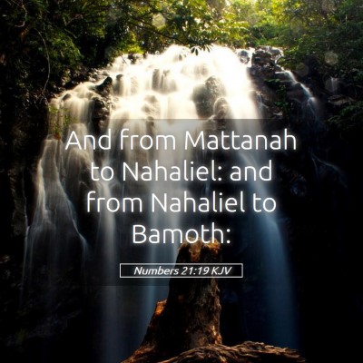 Picture 05 - Numbers 21:19 KJV - And from Mattanah to Nahaliel: and from Nahaliel - Bible Verse Picture
