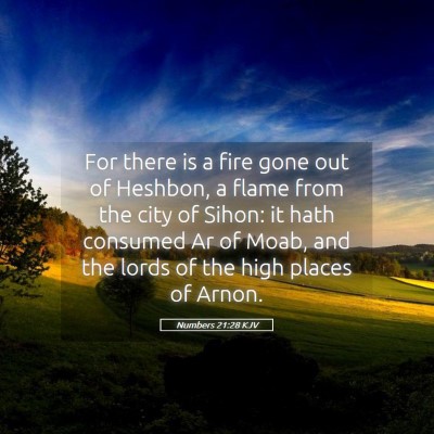 Picture 05 - Numbers 21:28 KJV - For there is a fire gone out of Heshbon, a flame - Bible Verse Picture