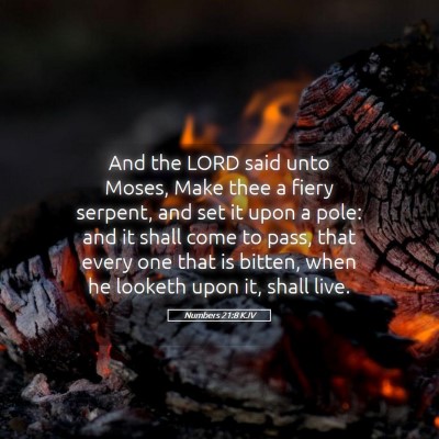 Picture 05 - Numbers 21:8 KJV - And the LORD said unto Moses, Make thee a fiery - Bible Verse Picture