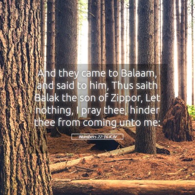 Picture 05 - Numbers 22:16 KJV - And they came to Balaam, and said to him, Thus - Bible Verse Picture