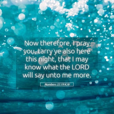 Picture 05 - Numbers 22:19 KJV - Now therefore, I pray you, tarry ye also here - Bible Verse Picture