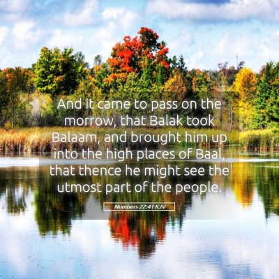 Picture 05 - Numbers 22:41 KJV - And it came to pass on the morrow, that Balak - Bible Verse Picture