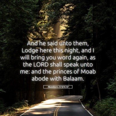Picture 05 - Numbers 22:8 KJV - And he said unto them, Lodge here this night, and - Bible Verse Picture