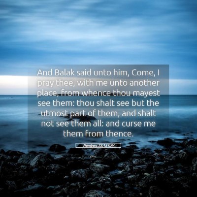 Picture 05 - Numbers 23:13 KJV - And Balak said unto him, Come, I pray thee, with - Bible Verse Picture
