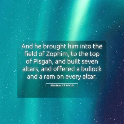 Picture 05 - Numbers 23:14 KJV - And he brought him into the field of Zophim, to - Bible Verse Picture