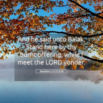 Picture 05 - Numbers 23:15 KJV - And he said unto Balak, Stand here by thy burnt - Bible Verse Picture
