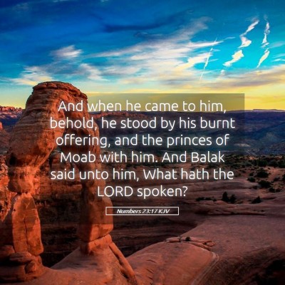Picture 05 - Numbers 23:17 KJV - And when he came to him, behold, he stood by his - Bible Verse Picture