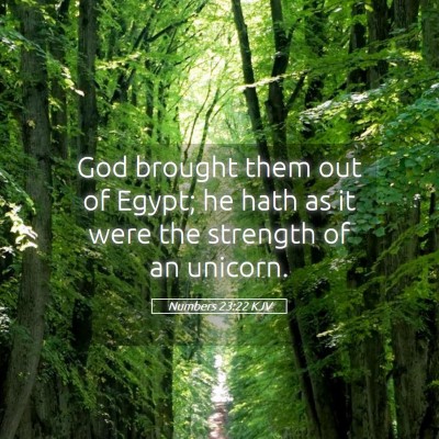 Picture 05 - Numbers 23:22 KJV - God brought them out of Egypt; he hath as it were - Bible Verse Picture
