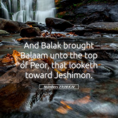 Picture 05 - Numbers 23:28 KJV - And Balak brought Balaam unto the top of Peor, - Bible Verse Picture
